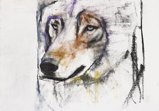 Processo Al Lupo von Mark  Adlington