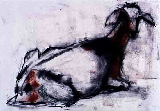 Seated Goat von Mark  Adlington