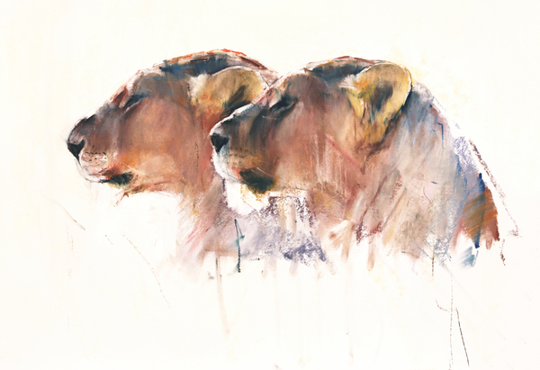 Sisters, Etosha von Mark  Adlington