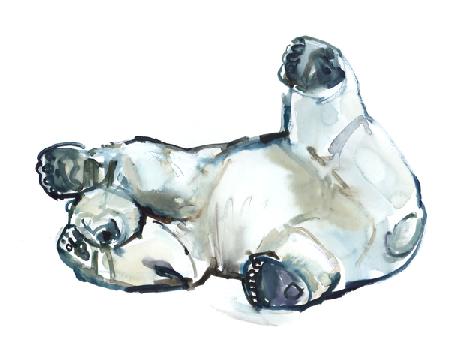 Snow Rub (Polar Bear)