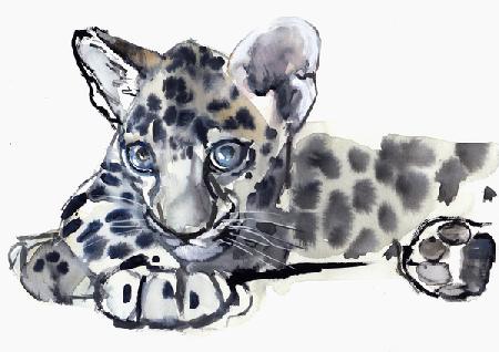 Spotty (Arabian Leopard Cub)