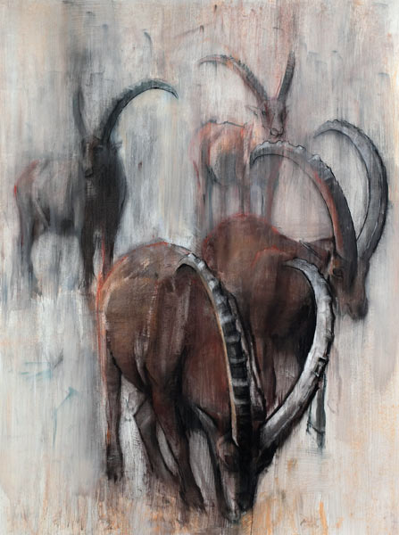 Stambecchi in Estate von Mark  Adlington