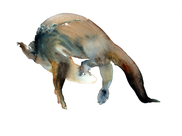 Tail Turn von Mark  Adlington