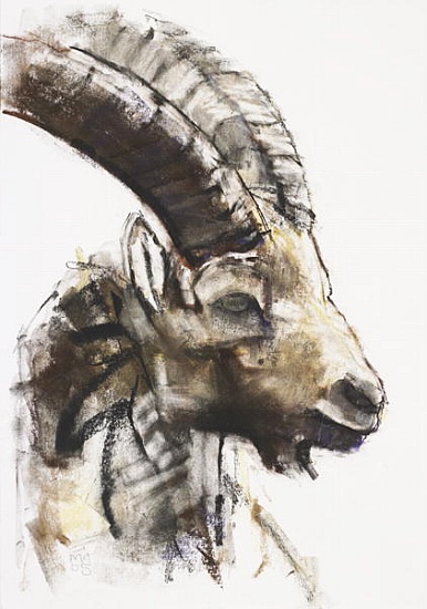 Testa von Mark  Adlington