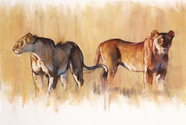 The Hunting Instructors von Mark  Adlington