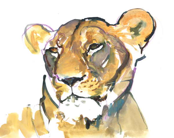 The Lioness von Mark  Adlington