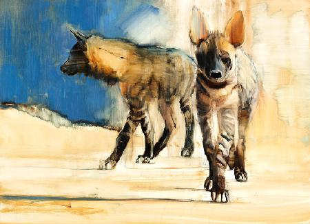 Striped Hyaenas