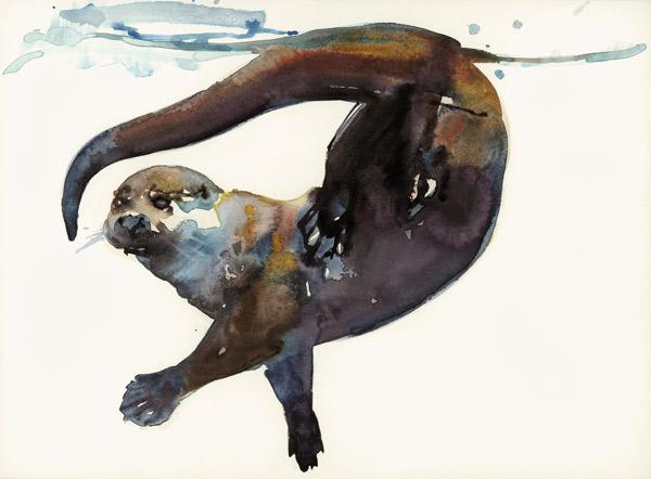 Otter Study II -Talisker - Mark  Adlington