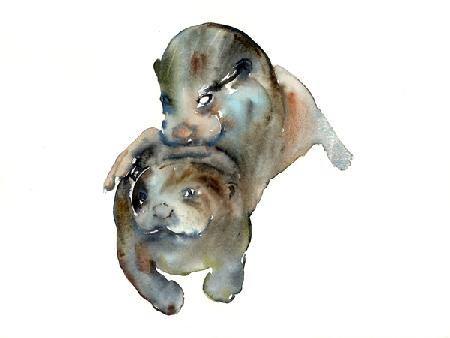 Tough love (swimming lesson)