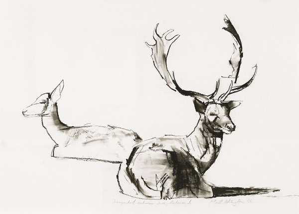 Unexpected Autumn Sun von Mark  Adlington