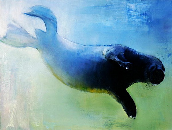 Weightless von Mark  Adlington