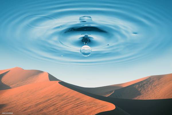 Die Wüste von Markus Bergmann