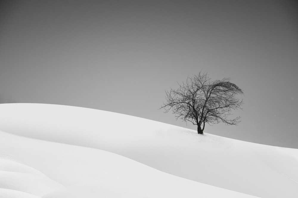 Loneliness von Marta Walla