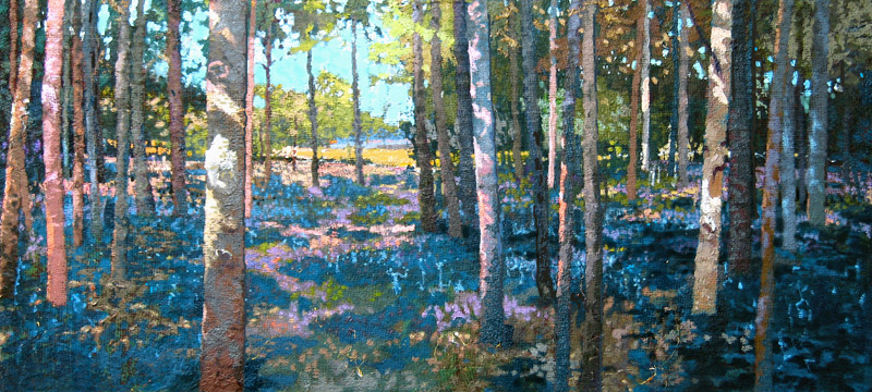 Bluebell Wood von Martin  Decent