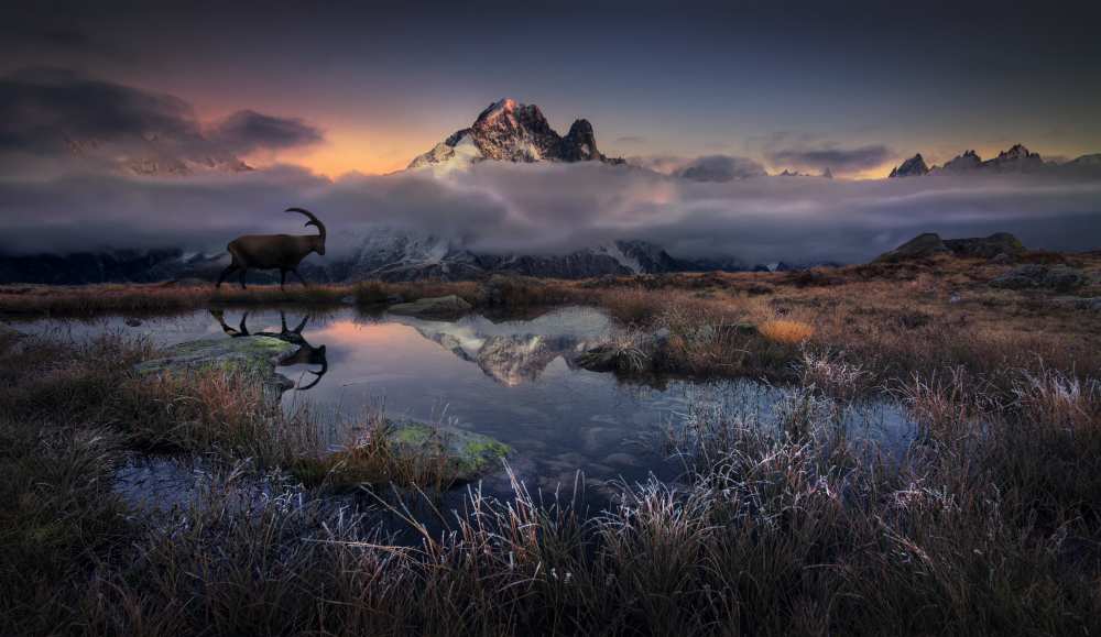 Evening walk von Martin Dodrv