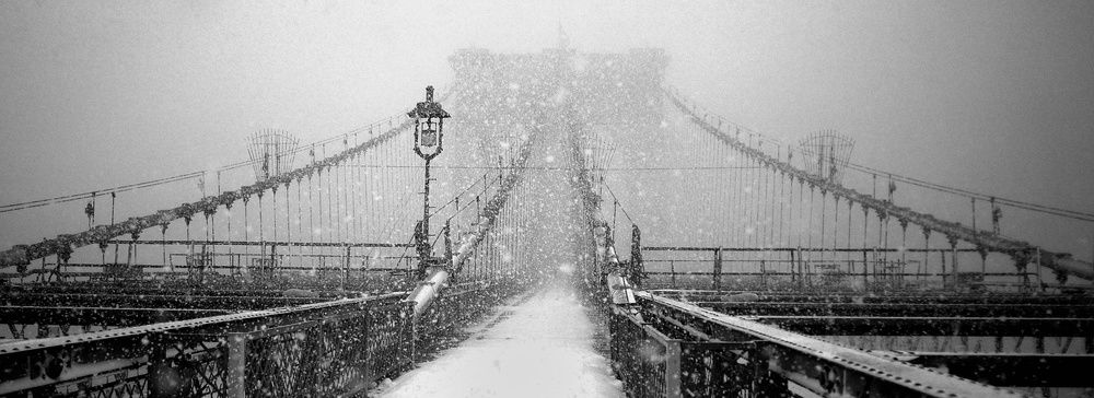New York Walker in Blizzard von Martin Froyda