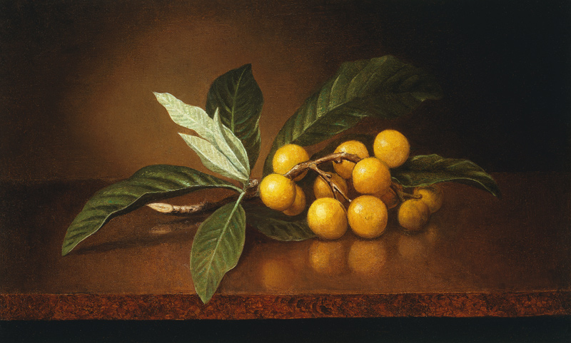 Tropische Pflaumen. von Martin Johnson Heade
