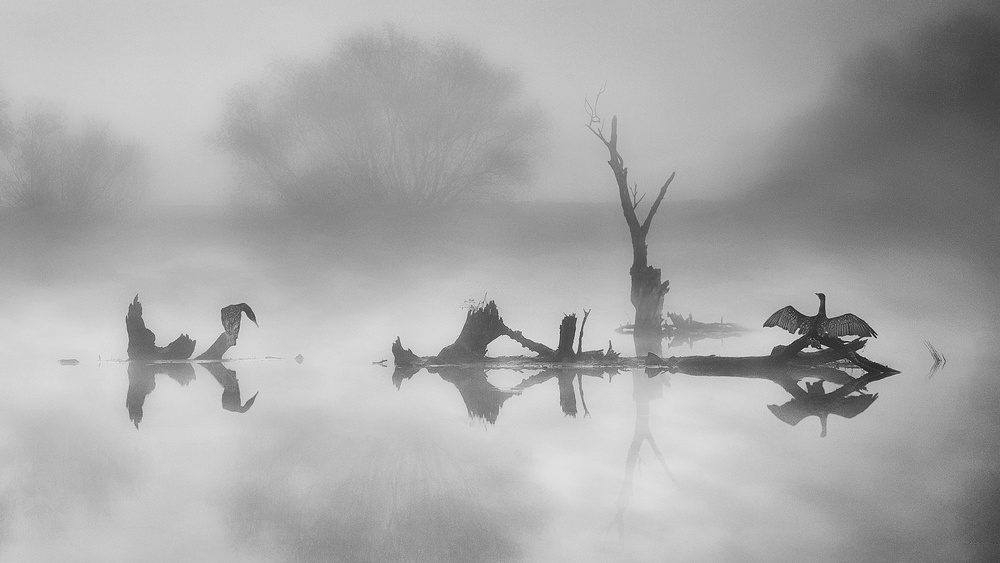 Morning rest von Martin Kucera AFIAP AZSF