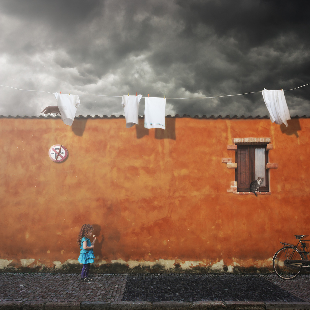 Life Unfolding von Martin Marcisovsky