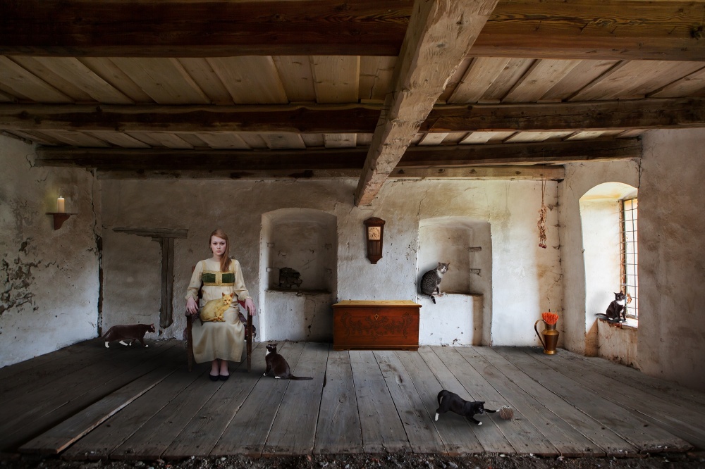 The Cat Queen von Martin Marcisovsky