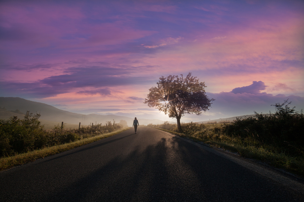 Morning Walk von Martin Marcisovsky