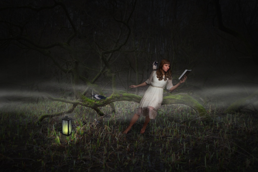 When The Night Falls von Martin Marcisovsky