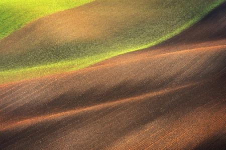 Moravian Tuscany Waves #3