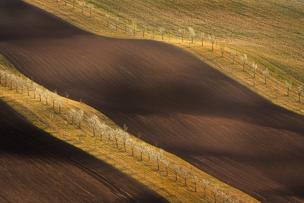 Moravian Tuscany Waves #6 von Martin Morávek