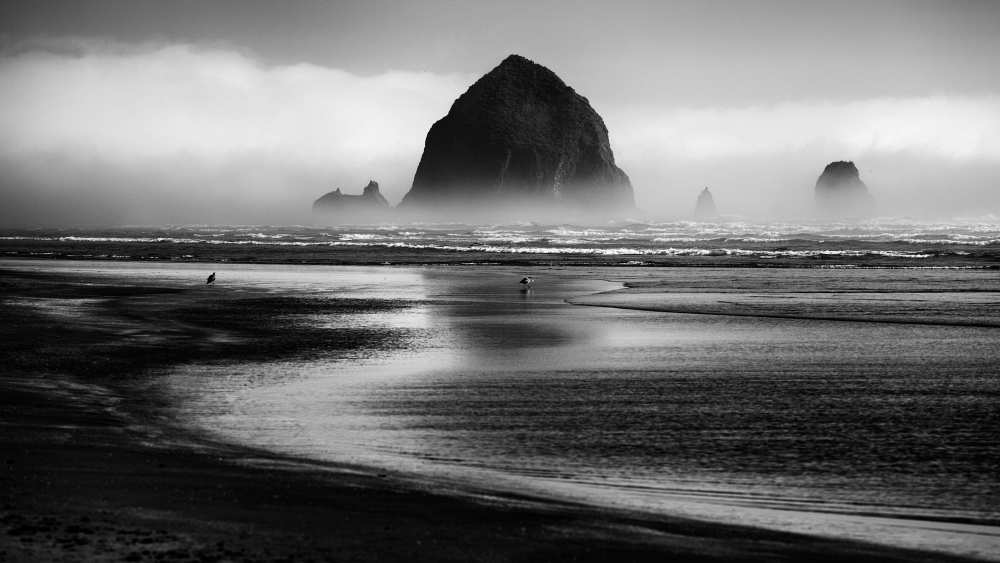Cannon Beach von Martin Rak