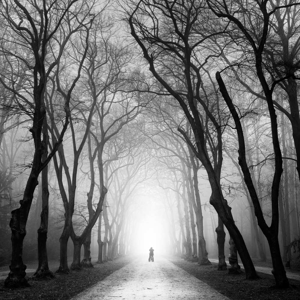 Cyclist von Martin Rak