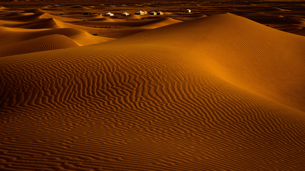 Desert Camp von Martin Steeb