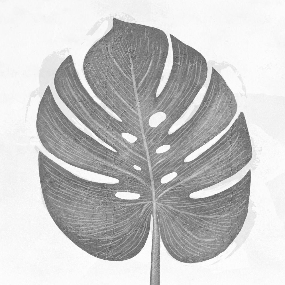 Grey Leaf von Martina