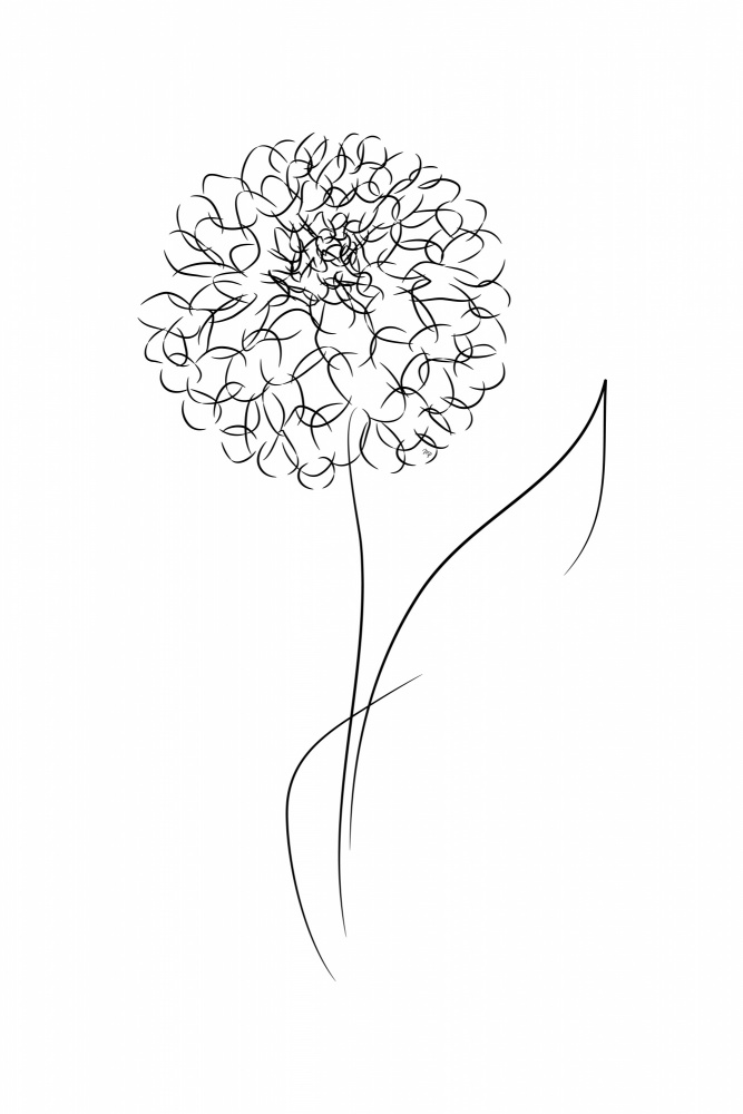 Line Bloom von Martina