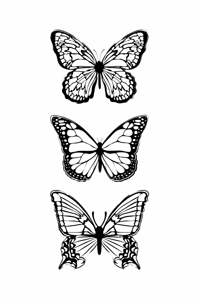 Black Butterflies von Martina
