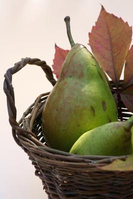 Birnen von Martina Berg