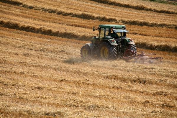 Strohwender von Martina Berg