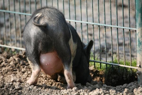 Ausbruchsversuch von Martina Berg