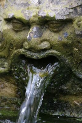 Brunnen-Fratze von Martina Berg