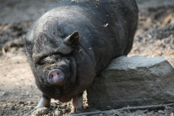 Es juckt von Martina Berg