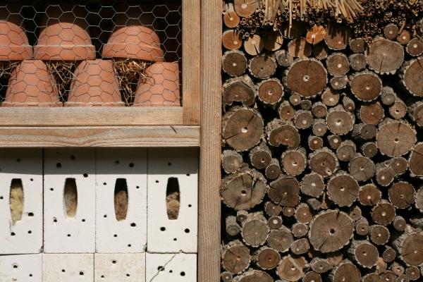 Insektenhotel von Martina Berg