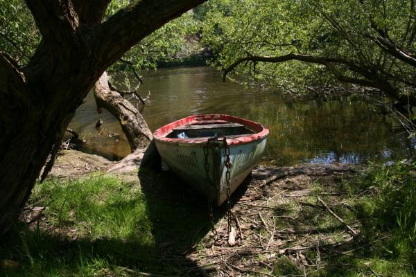 Seewolf von Martina Berg