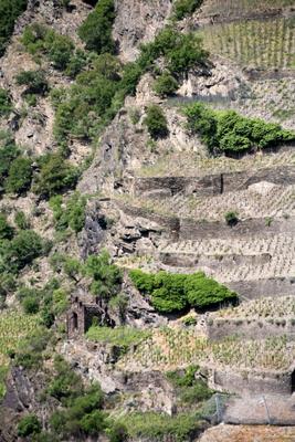 Weinterassen von Martina Berg