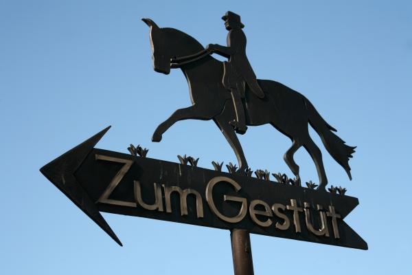 Zum Gestüt von Martina Berg