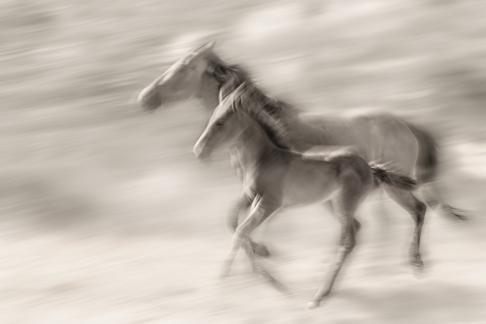 Mischievous spirit von Martine Benezech