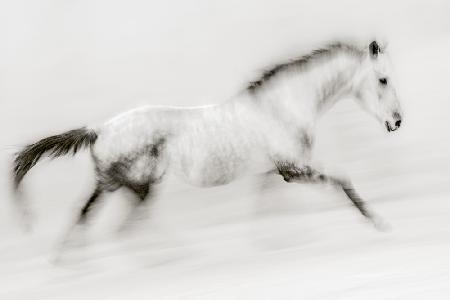 The unique brush stroke