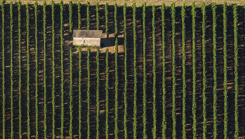 Plane geometry von Martine Benezech