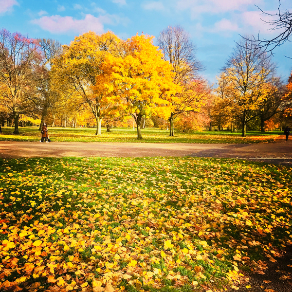 Autumn von Mary Campbell