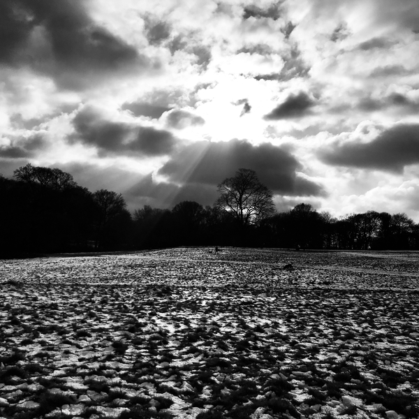 The Heath von Mary Campbell