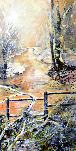 Early winters morning along Markeaton brook von Mary Smith