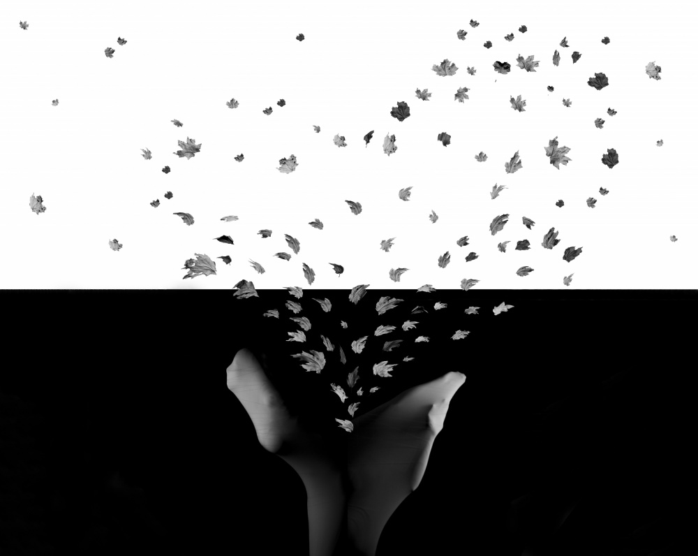 untitledl von Maryam Zahirimehr